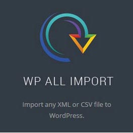دانلود افزونه وردپرس WP ALL IMPORT PRO نسخه 4.5.8