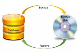 آموزش بک آپ گیری در وردپرس با افزونه xcloner