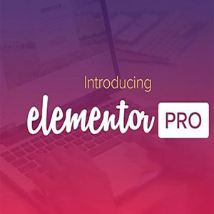 دانلود افزونه صفحه ساز پیشرفته وردپرس Elementor Pro رایگان