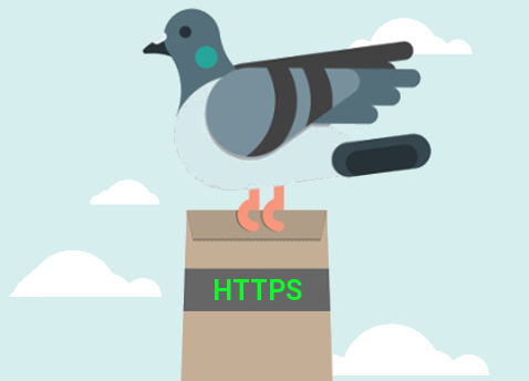 HTTPS چیست؟ آشنایی با HTTPS به روش کبوتر نامه‌بر